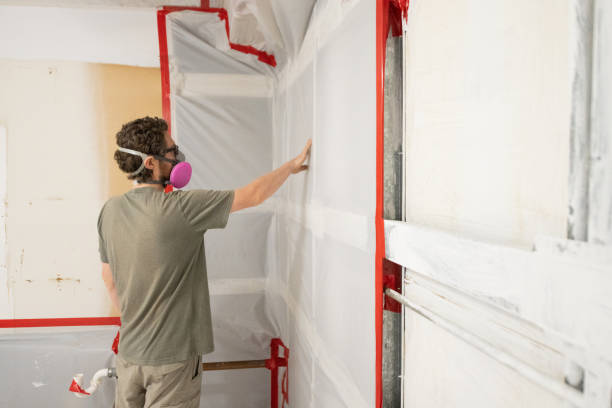 Best Mold Documentation for Insurance Claims  in Four Square Mile, CO