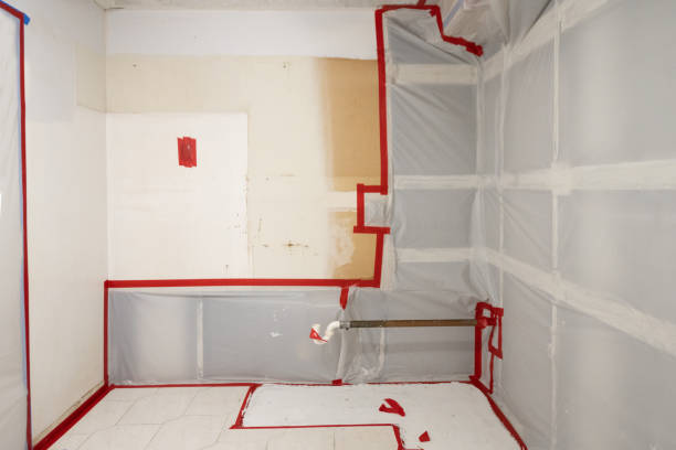 Best Attic Mold Removal  in Four Square Mile, CO