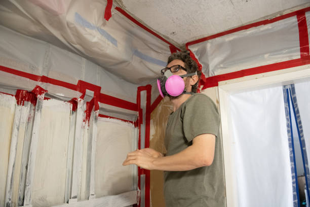Reliable Four Square Mile, CO Mold Removal Solutions