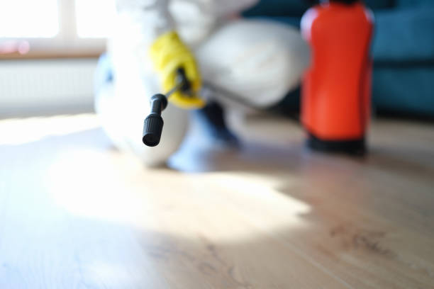 Best Post-Construction Mold Inspection  in Four Square Mile, CO