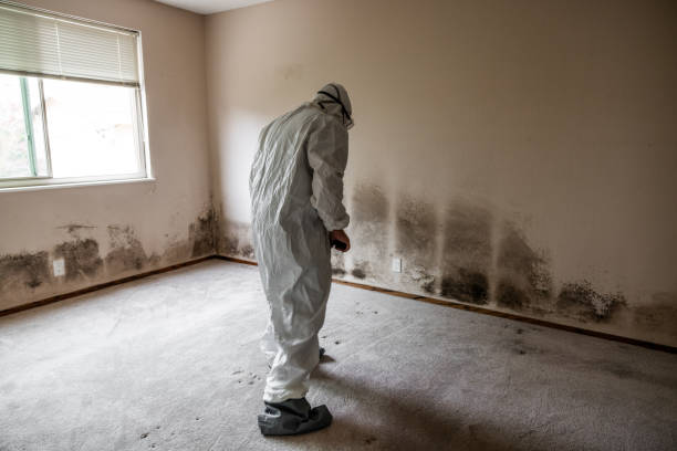 Biohazard Mold Removal in Four Square Mile, CO