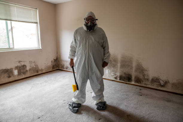 Best Mold Damage Restoration  in Four Square Mile, CO