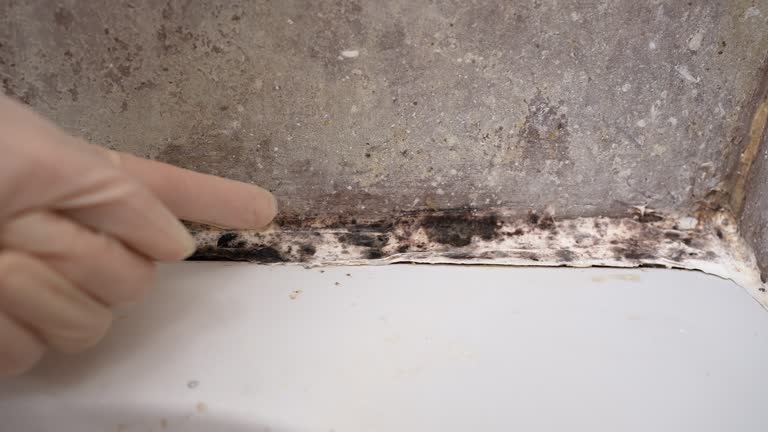 Best Airborne Mold Testing  in Four Square Mile, CO
